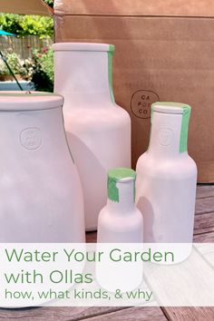 DIY Ollas for Watering Plants and Gardens — Mid Modern Mama Diy Self Watering Planter, Bathtub Drain Stopper, Beautiful Landscaping, Watering Plants, Build A Greenhouse, Quirky Home, Stock Tank Pool, Eco Friendly Garden, Thriving Garden