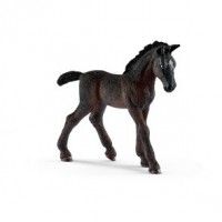 a black horse walking across a white floor