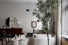 a living room filled with furniture and a tall tree in the middle of the room