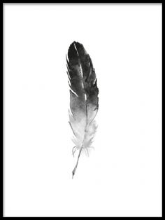 a black and white photo of a feather