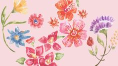 watercolor flowers on a pink background