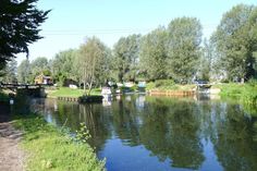 a body of water surrounded by trees and houses