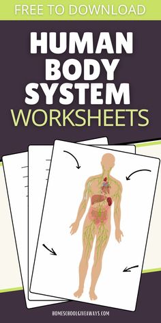 the human body system worksheet is shown in green and black, with text