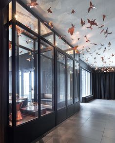 a room filled with lots of glass doors covered in flying paper bats hanging from the ceiling