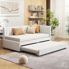 a living room scene with focus on the sofa bed