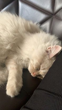 a white cat sleeping on top of a black leather chair with its eyes closed and it's head resting on the armrest