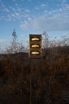 a street light sitting in the middle of a field with trees and bushes behind it