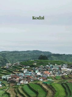 an aerial view of a small village in the middle of a green field with trees