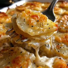 a fork with some food on it that is being lifted from the casserole