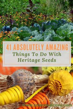 41 Absolutely Amazing Things To Do With Heritage Seeds #seedsaving #gardening #seeds #science #ecogardening Seed Swap, Culinary Garden, Composting Ideas, Helping Nature, Spring Science, Science Decor