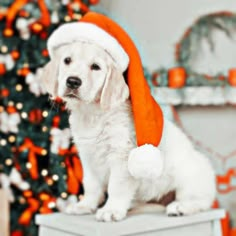 a white dog wearing a santa hat sitting on top of a table next to a christmas tree