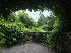 a stone bridge surrounded by greenery and trees