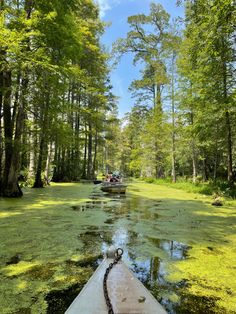 Visit the cypress gardens where the iconic notebook scene was filmed. #charleston sc, #monkscorner, #explore, what to do in charleston, must see, #couple friendly #dateideas idea, date idea charleston, #lowcountry, where to visit, family friendly in charleston, monks corner SC, explore south carolina, the carolinas, outside of downtown charleston, fun, green, aesthetic, #nature, meadow, #kayak, boatride, two people, the notebook, #mustsee Charleston South Carolina The Notebook, Cyprus Gardens South Carolina, Charleston South Carolina Photography, South Carolina Nature, Lowcountry South Carolina, White Point Gardens Charleston, Charlotte South Carolina, Carolinas Aesthetic, Living In Charleston Sc