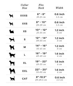 the size chart for dogs and cats