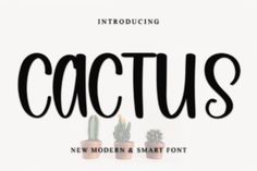 cactus font and numbers on a white background with potted cactus in the middle