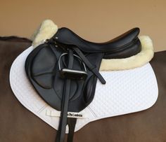 a close up of a horse's saddle and bridle