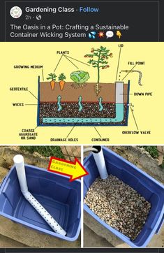 the diagram shows how to build a garden in a plastic container with water and gravel