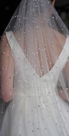 the back of a bride's veil with pearls on it