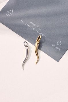 Under the Tuscan Sun Italian Horn Charm – Air & Anchor Horn Of Plenty, Italian Horn, Under The Tuscan Sun, My Christmas List, The Horn, Vision Board Inspiration, Big Gifts, Board Inspiration, Anklet Bracelet