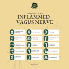 These could be symptoms of an inflamed vagus nerve. Here’s a symptoms checklist of an inflamed vagus nerve. Discover how holistic healing can improve your health by curing the inflamed vagus nerve. 📳Tap the link in the bio to book a call and learn more about how you can help soothe and heal your vagus nerve. Vagus Nerve Symptoms, Vagus Nerve Healing, Symptoms Checklist, Organ Health, Human Behavior Psychology, Somatic Healing, Healing Diet