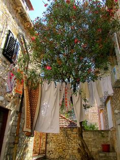 an alleyway with clothes hanging on the line and a tree growing out of it