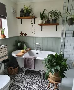 a bath tub sitting next to a toilet in a bathroom under two shelves filled with plants