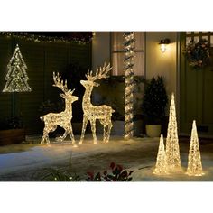 lighted christmas trees and deers in front of a house