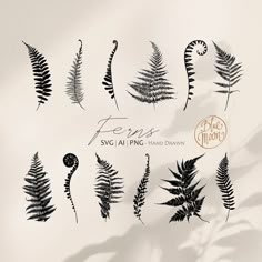 This Clip Art & Image Files item by BlueMoonClipArt has 541 favourites from Etsy shoppers. Is dispatched from United States. Listed on 15 Sep, 2024 Blatt Tattoos, Botanisches Tattoo, Fern Tattoo, Handpoke Tattoo, Plant Tattoo, Fern Leaves, Botanical Tattoo, Nature Tattoos, Graphic Design Projects