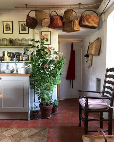 a room filled with lots of potted plants and wicker baskets hanging from the ceiling