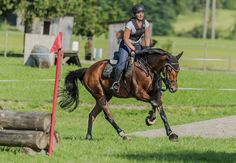 a woman riding on the back of a brown horse