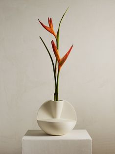 there is a white vase with flowers in it