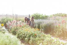 two women are standing in a flower garden