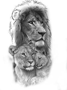 a lion and two cubs are shown in this black and white drawing