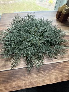 a green plant sitting on top of a wooden table next to a box with a present