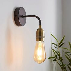 a light bulb is on the wall next to a potted plant