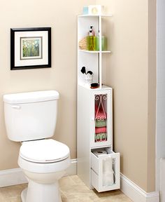 a white toilet sitting in a bathroom next to a shelf