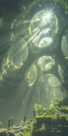 some people are standing in the middle of a forest with sunbeams and trees