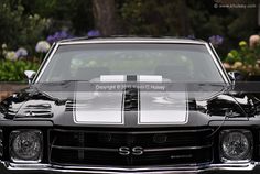 the front end of a black and white muscle car