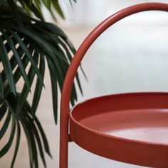 a red metal tray sitting next to a palm tree in front of a potted plant