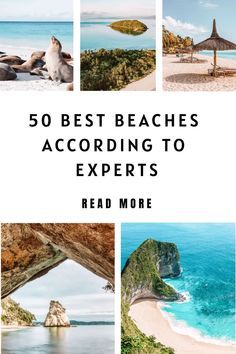 Beach Bucket List, Best Beaches In The World, Beach Bucket, Travel Safety, Wild Adventures, Bucket List Destinations, Beaches In The World