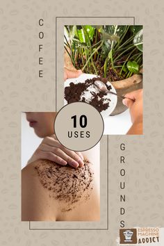 an advertisement for coffee uses with images of plants and dirt on the back of a woman's chest