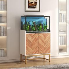 a fish tank sitting on top of a wooden cabinet