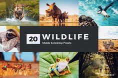 20 wildlife mobile & desktop mockup presets for adobe, photoshopped