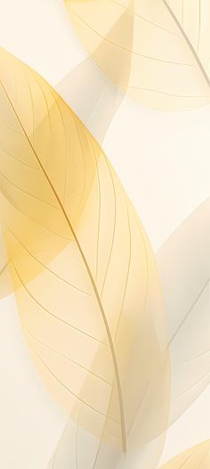 an abstract image of yellow leaves on a white background with soft shadow and light colors