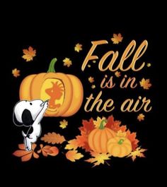 a black background with pumpkins, leaves and a dog in the center that says fall is in the air