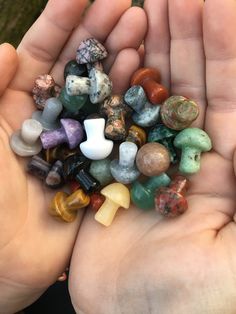 (3) Mini crystal mushrooms  selected intuitively but you are welcome to add a preference Cute Crystals, Mushroom Crystal, Crystal Mushroom, Forest Core, Bridal Shower Inspiration, Crystal Aesthetic, Goblin Core, Bottle Jewelry, Mystery Minis