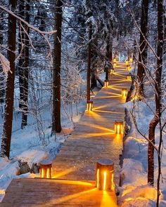 a wooden walkway in the middle of a snowy forest with lit up benches and trees