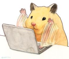 a drawing of a hamster using a laptop computer