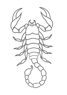 a black and white drawing of a scorpion