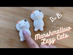 two small white cats sitting on top of a wooden table next to a hand pointing at them